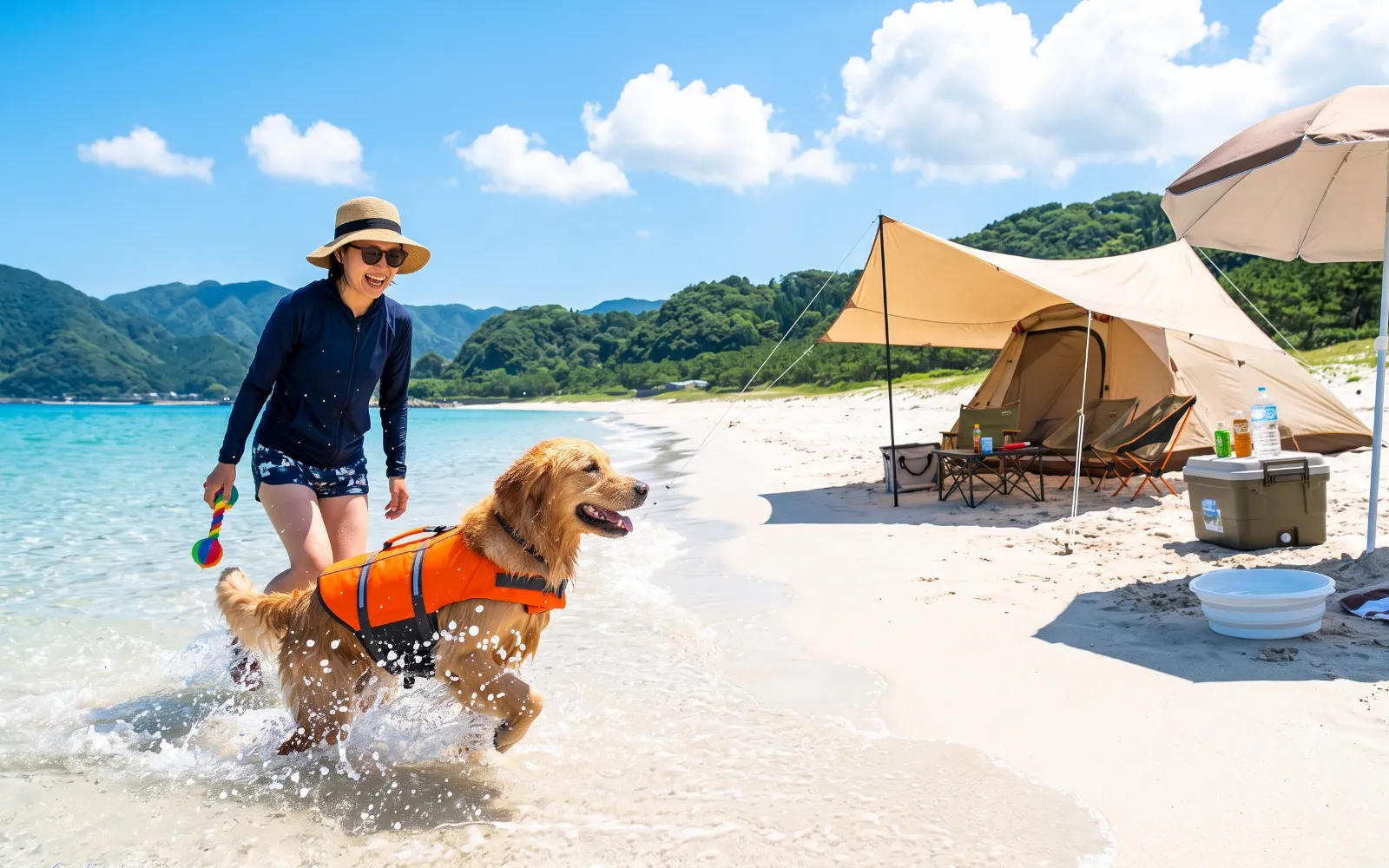 晴れた館山の海岸でライフジャケットを着て水遊びを楽しむ愛犬と、日陰を作る砂浜のキャンプテント
