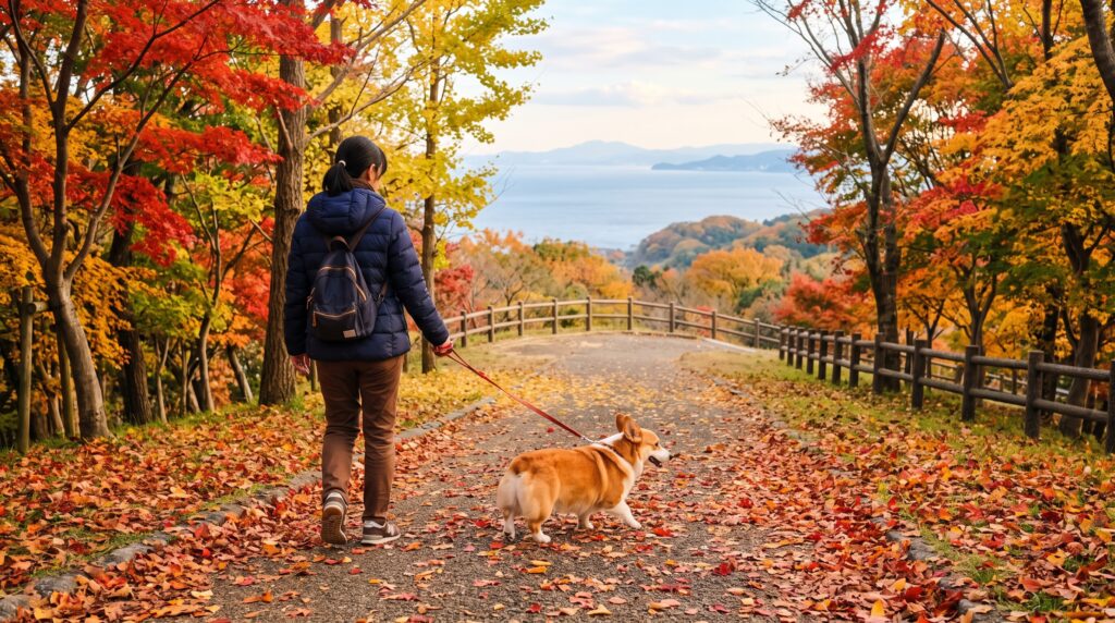 紅葉した木々の下を、飼い主と散歩する犬